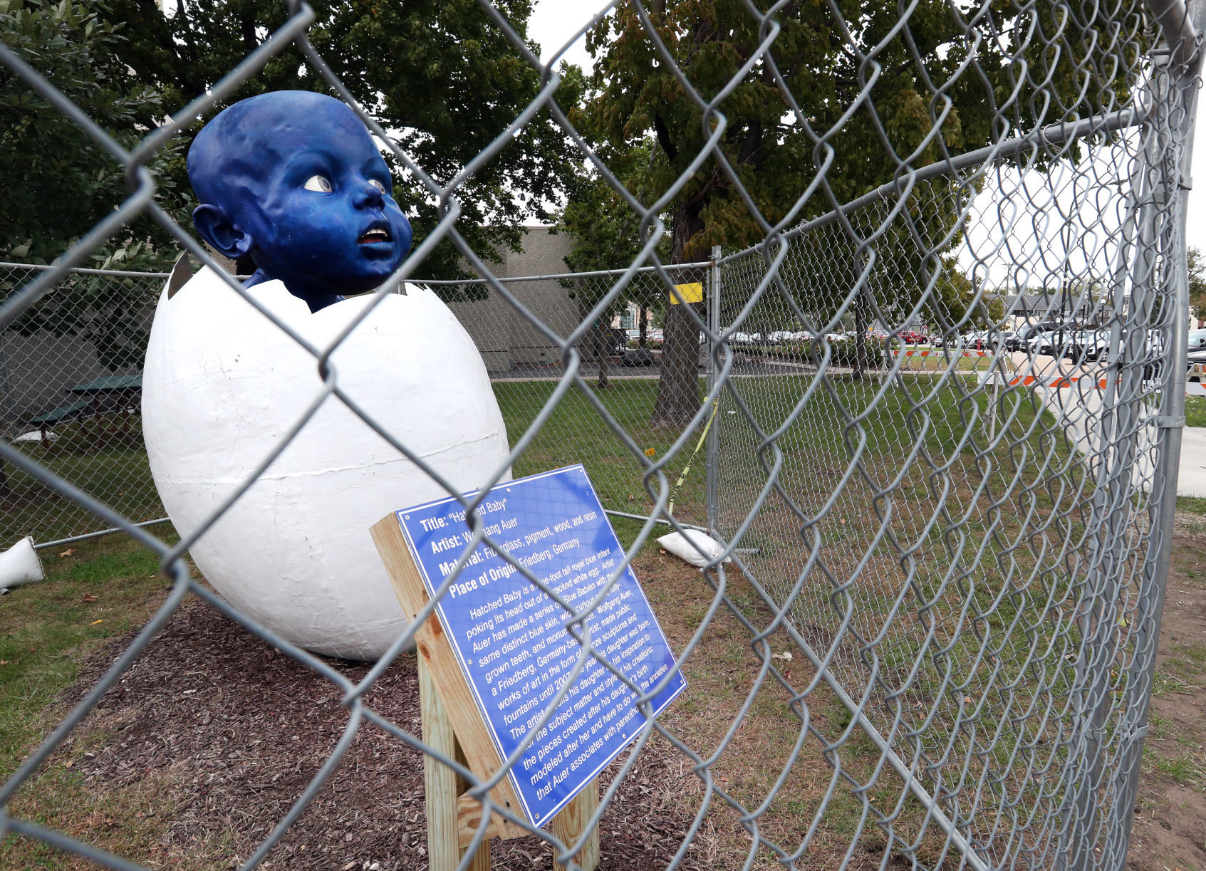 "Hatched Baby" blues